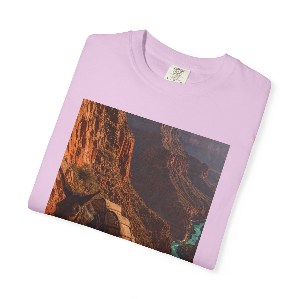 Mule Mail Supai — Vintage Grand Canyon Mail Shirt | Trivia Mail Carrier Tee