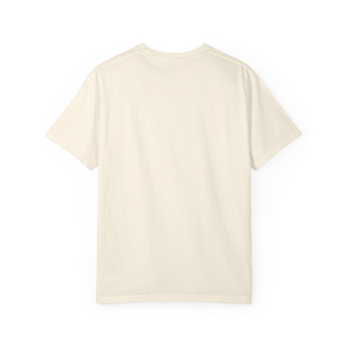 Mail Carrier T-Shirt - Light Day | Funny Mail Carrier Tee | Comfort Colors