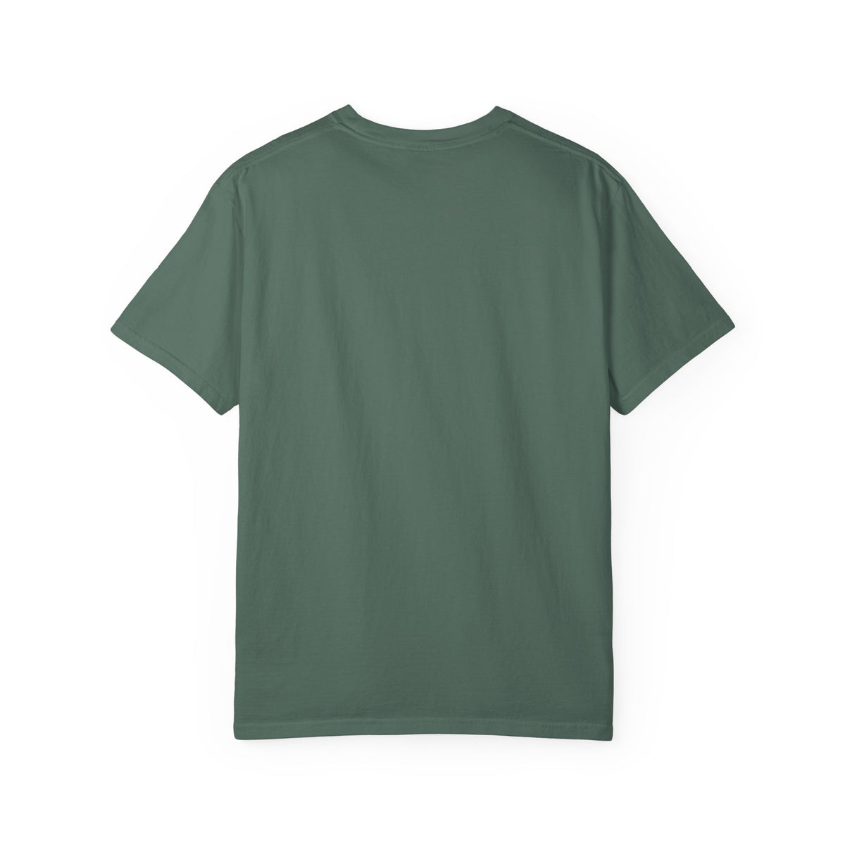 Airmail Arrows 1924 — Vintage Aviation Shirt | Funny Mail Carrier Tee