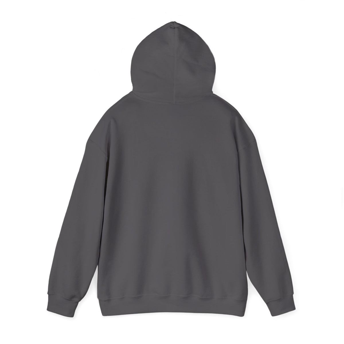 Mail Carrier Hoodie - First Class Only | Funny Mail Carrier Hoodie | Gildan