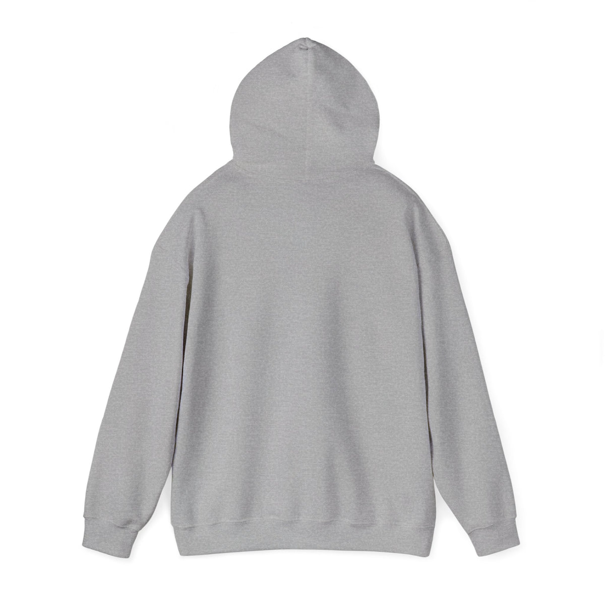 Mail Carrier Hoodie - Carrier Status | Funny Mail Carrier Hoodie | Gildan
