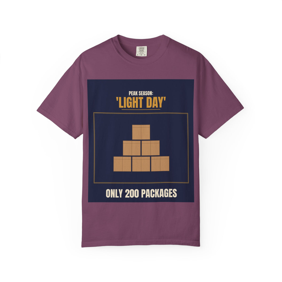 Mail Carrier T-Shirt - Light Day | Funny Mail Carrier Tee | Comfort Colors