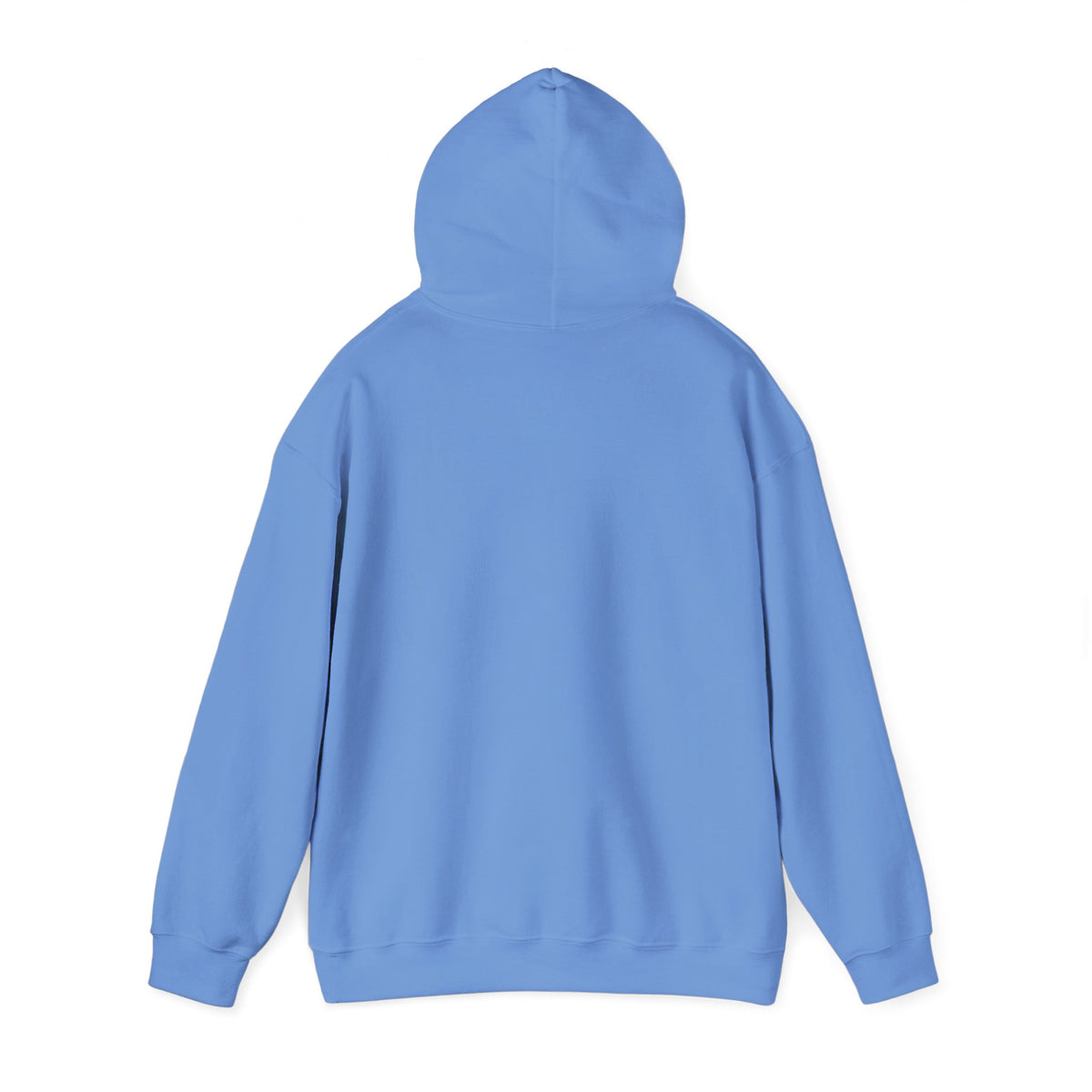 Mail Carrier Hoodie - First Class Only | Funny Mail Carrier Hoodie | Gildan