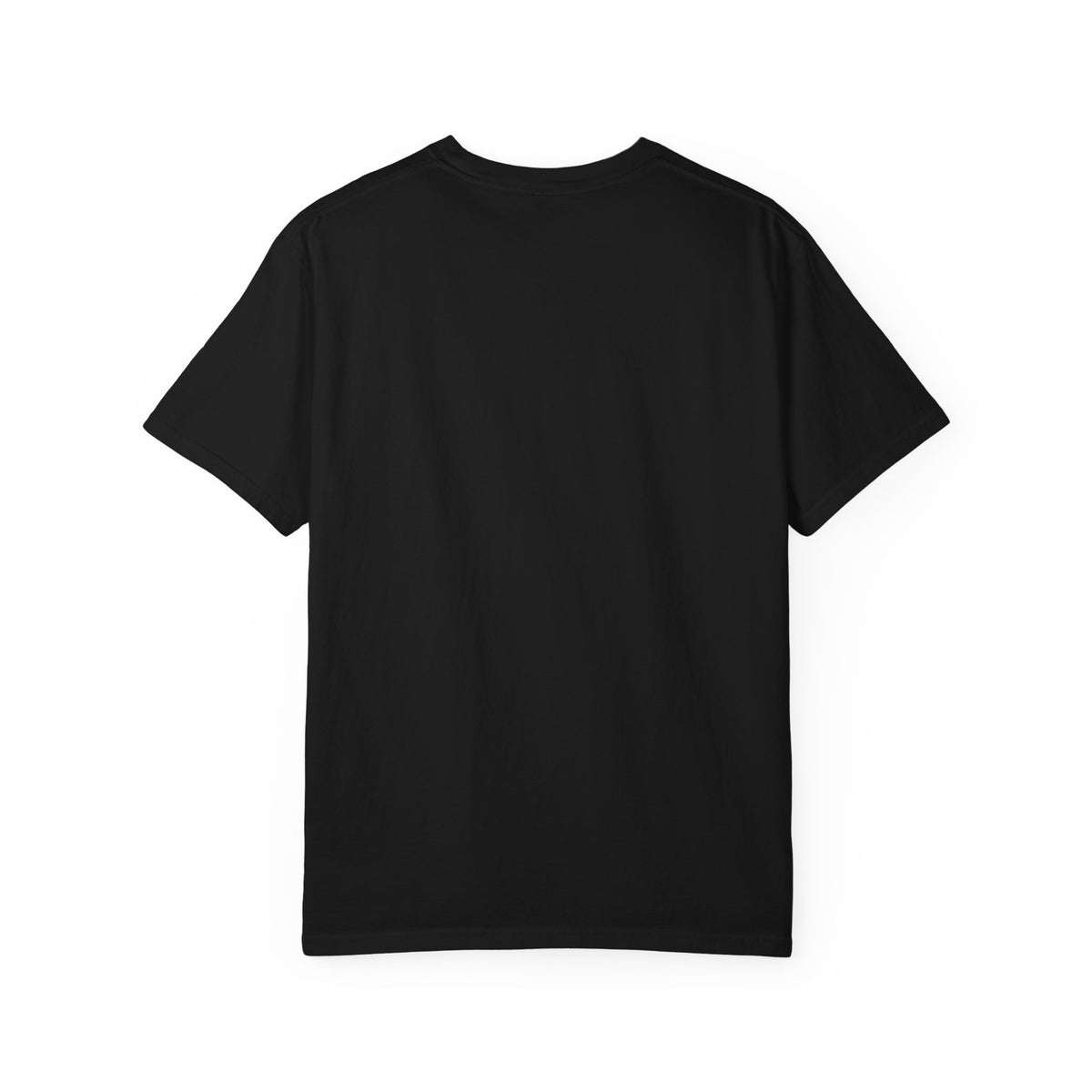 Mail Carrier T-Shirt - Two AC Settings | Funny Mail Carrier Tee | Comfort Colors
