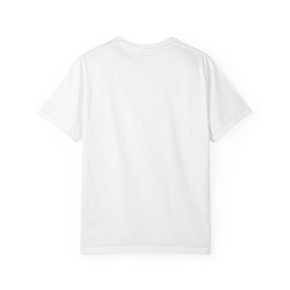 Mail Carrier T-Shirt - Pick Your Fighter | Funny Mail Carrier Tee | Comfort Colors