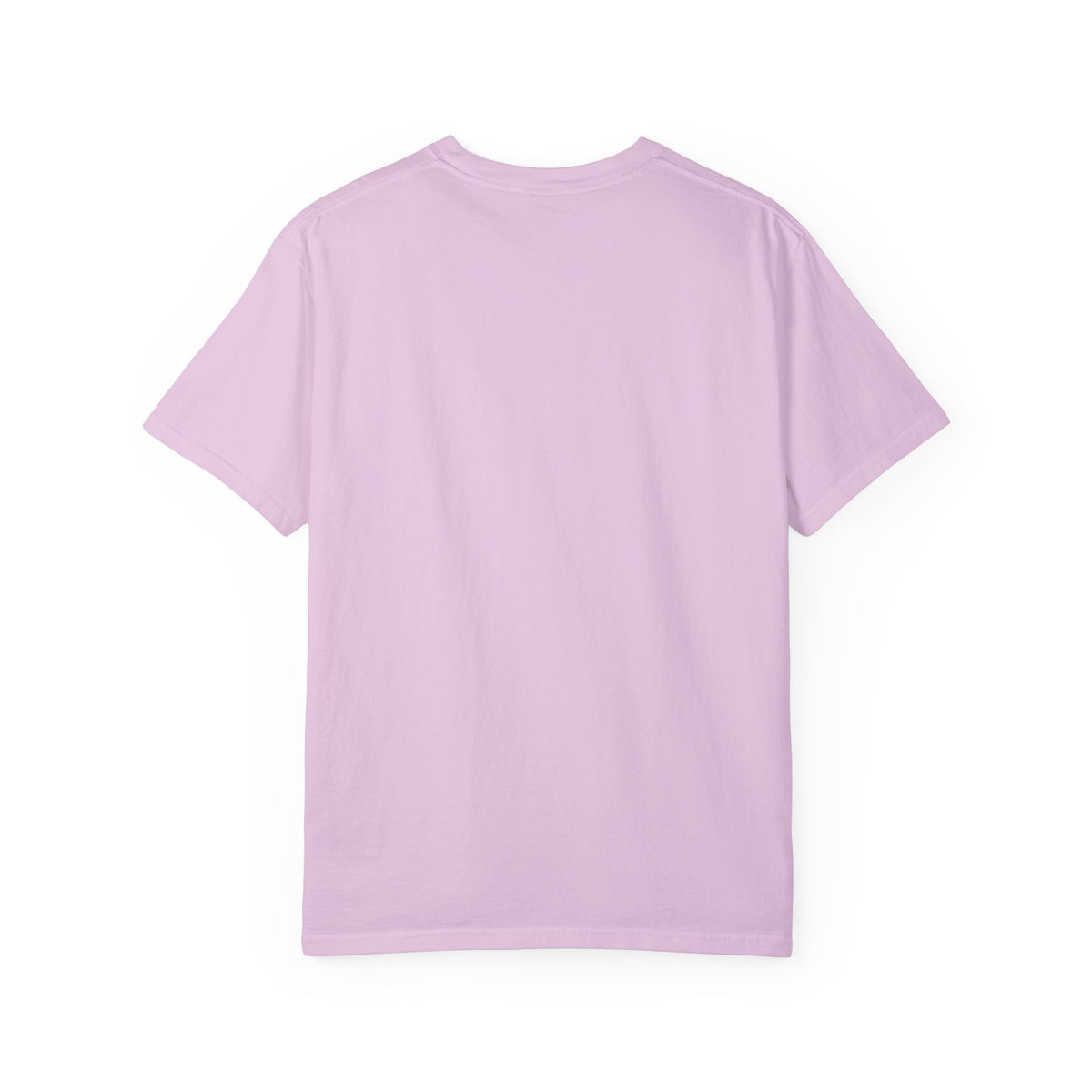 Mail Carrier T-Shirt - Two AC Settings | Funny Mail Carrier Tee | Comfort Colors
