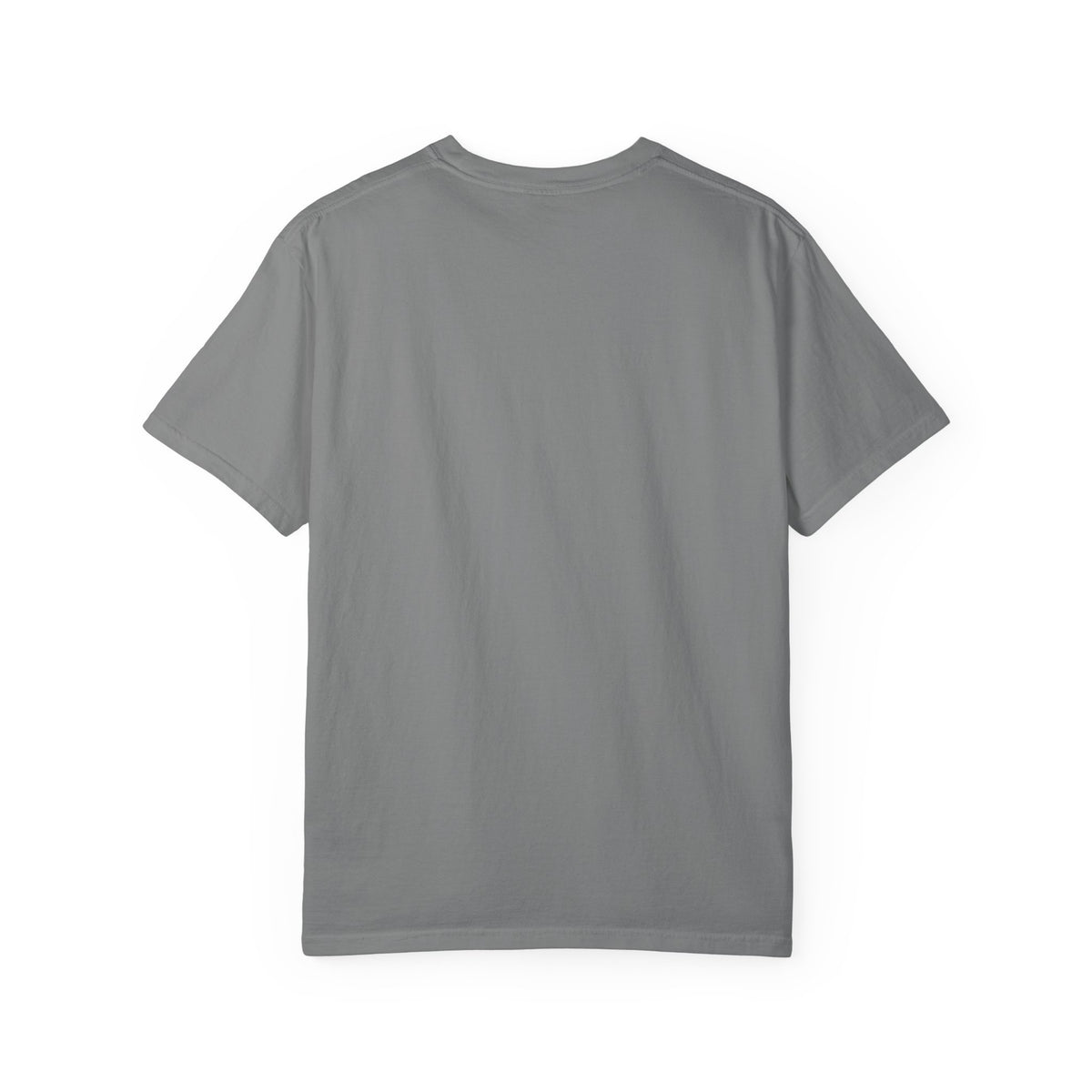 Mail Carrier T-Shirt - Santa Has One Night | Funny Mail Carrier Tee | Comfort Colors