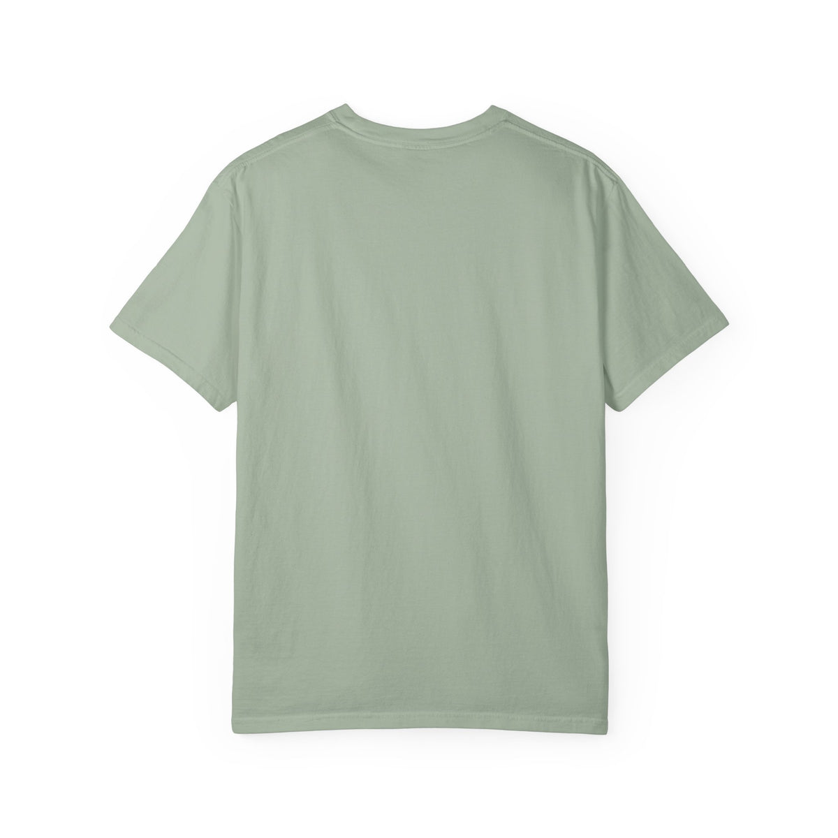 U.S. Camel Corps 1856 — Desert Mail Shirt | Funny Mail Carrier Tee