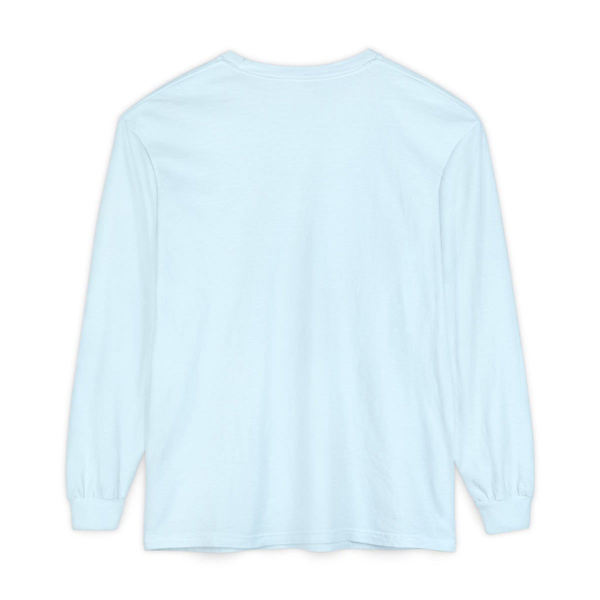 Mail Carrier Long Sleeve - Never Skip Route Day | Funny Mail Carrier Long Sleeve | Comfort Colors