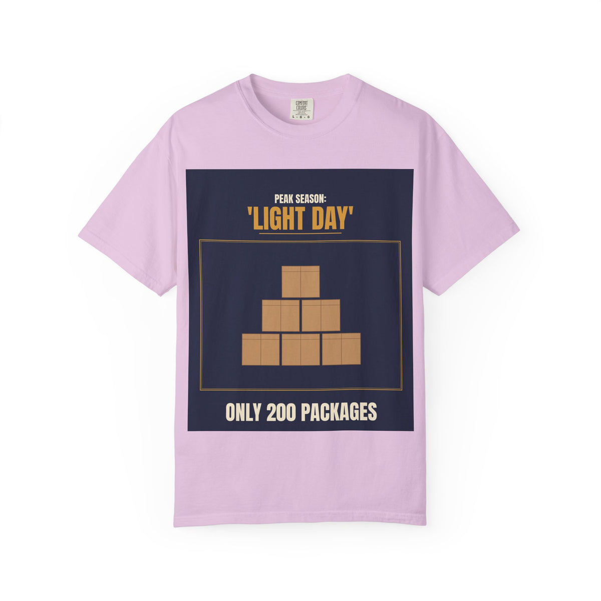 Mail Carrier T-Shirt - Light Day | Funny Mail Carrier Tee | Comfort Colors