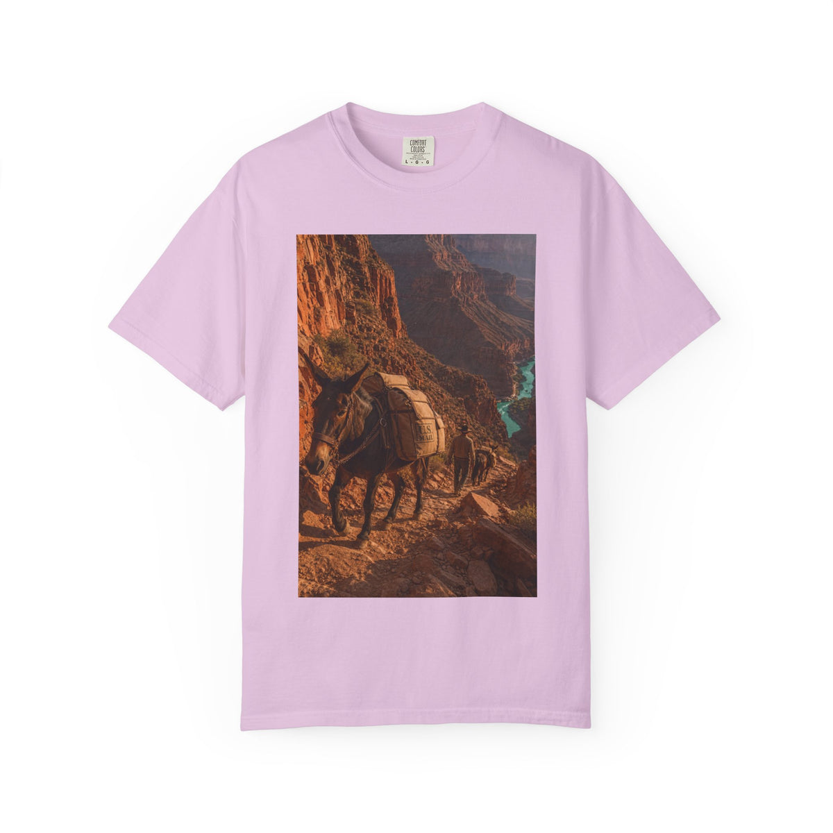 Mule Mail Supai — Vintage Grand Canyon Mail Shirt | Trivia Mail Carrier Tee