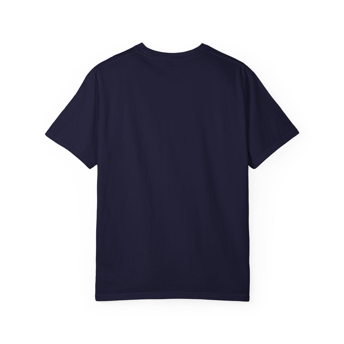 Mail Carrier T-Shirt - 187 Stops | Funny Mail Carrier Tee | Comfort Colors