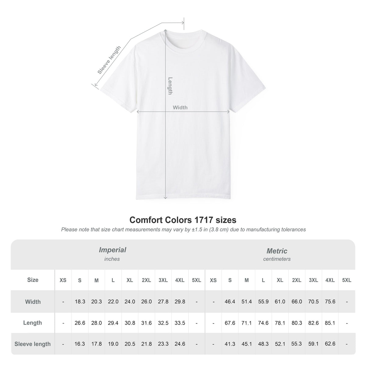 Merry Christmas From Your Mail Carrier — Thank You Gift Shirt