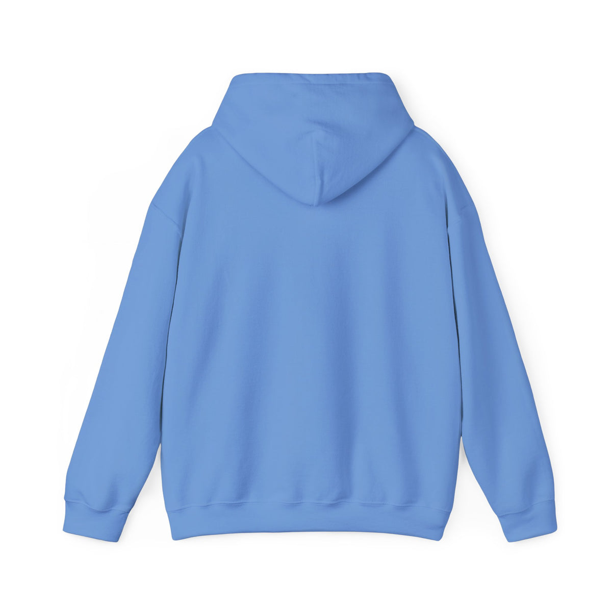 Mail Carrier Hoodie - First Class Only | Funny Mail Carrier Hoodie | Gildan