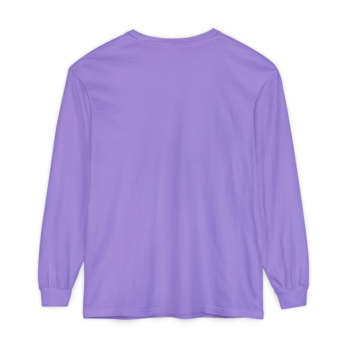 Mail Carrier Long Sleeve - Handle With Care | Funny Mail Carrier Long Sleeve | Comfort Colors